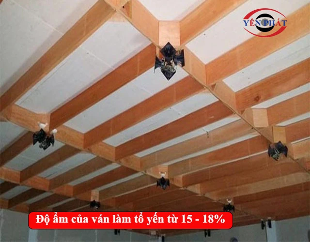 Độ ẩm của ván làm tổ bao nhiêu là phù hợp?