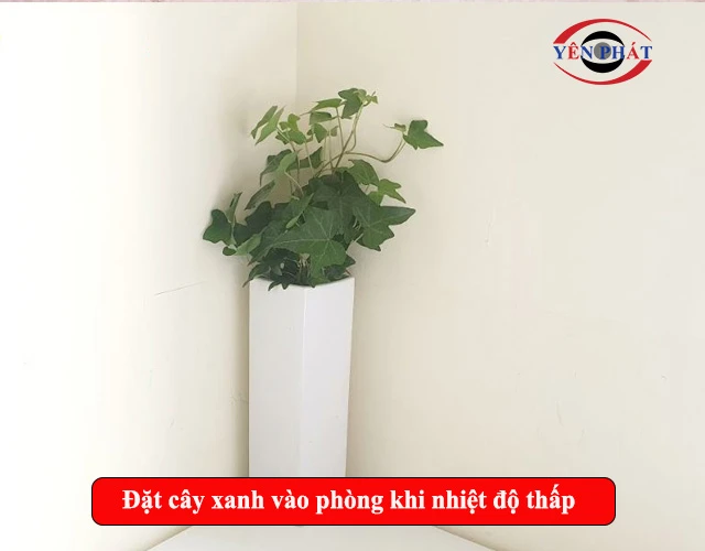 Khi độ ẩm không khí thấp