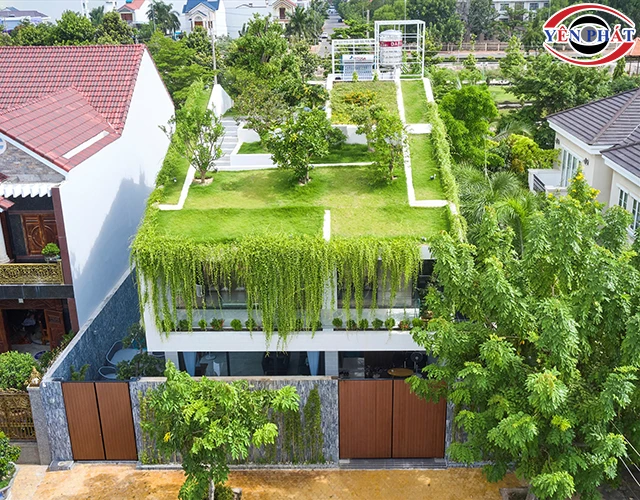 mật độ cây xanh