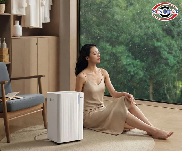 Máy hút ẩm dân dụng Simplus CUSH008