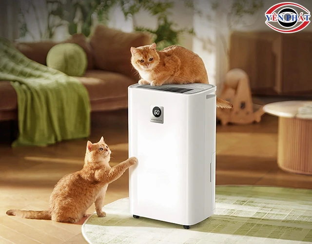 Máy hút ẩm Kosmen ECO