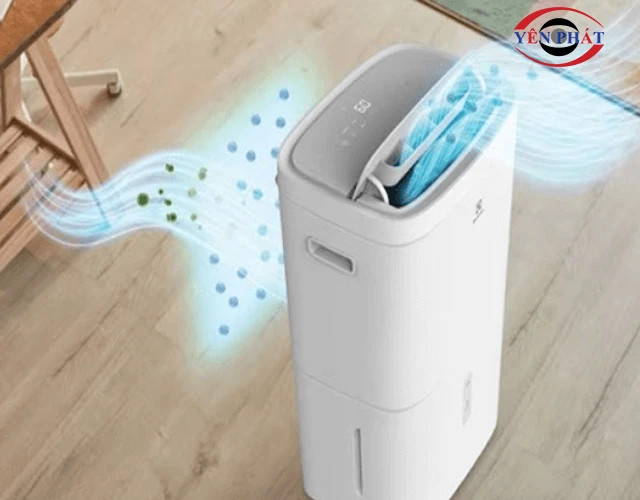 Mẹo dùng máy hút ẩm 10m2 tăng hiệu quả, tuổi thọ