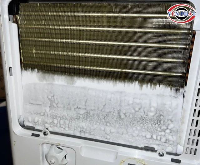 Dàn lạnh máy hút ẩm bị đóng băng