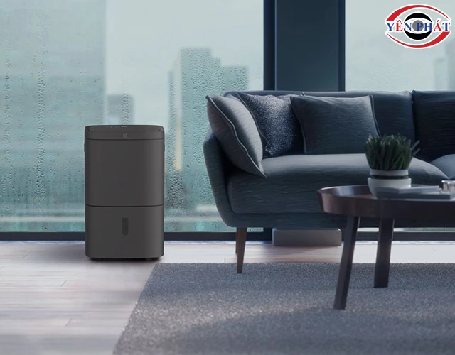 ứng dụng máy hút ẩm kết hợp lọc không khí Electrolux EDH16TRBD3