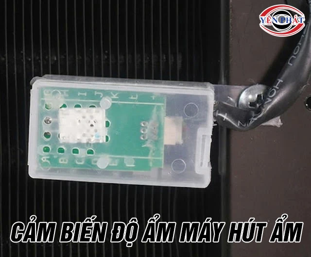 Cảm biến độ ẩm máy hút ẩm: Vai trò, nguyên lý, phân loại 