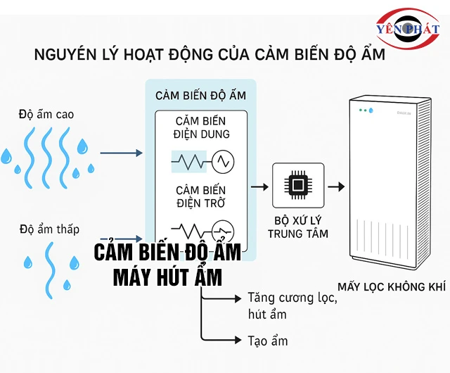 cơ chế cảm biến máy hút ẩm