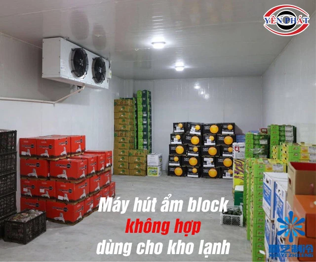 máy hút ẩm chạy block không dùng cho nền nhiệt quá thấp