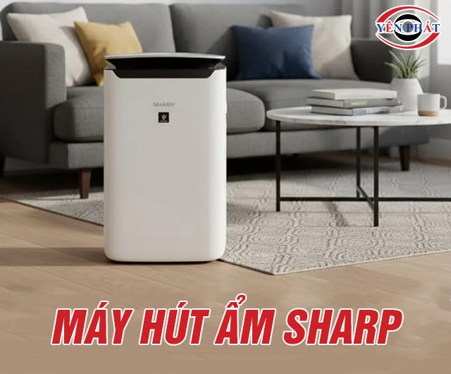 Máy hút ẩm Sharp