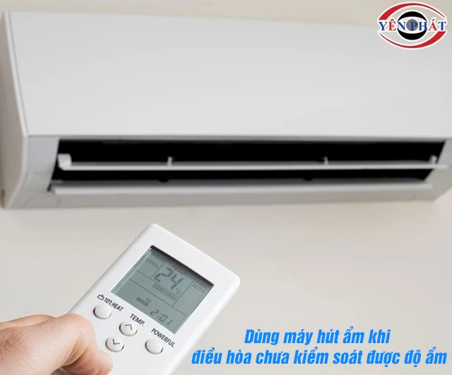 Dùng máy hút ẩm khi điều hòa không kiểm soát được ẩm