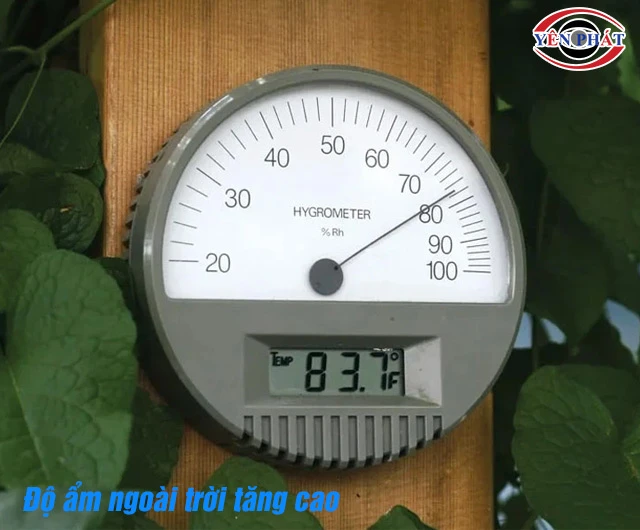 Dùng máy hút ẩm khi độ ẩm bên ngoài cao