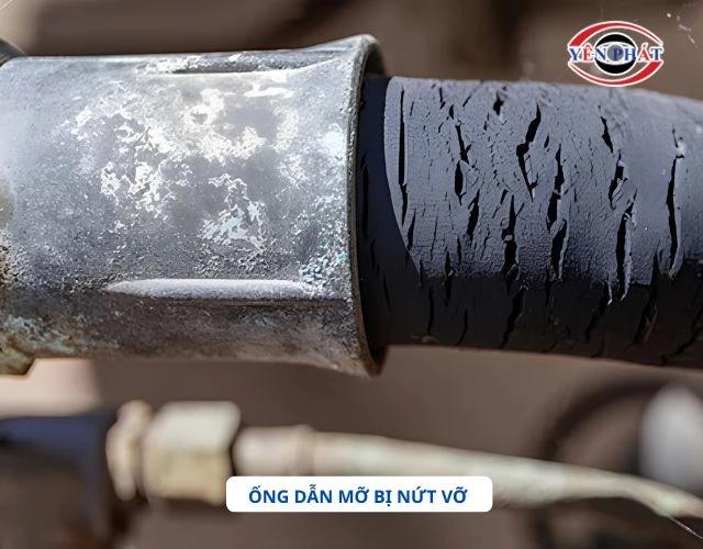 Ống dẫn mỡ bị nứt, hư hỏng do nhiều nguyên nhân