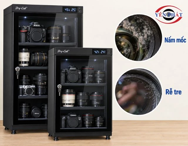 Tử khử ẩm chống nấm mốc, chống rễ tre ống kính hiệu quả
