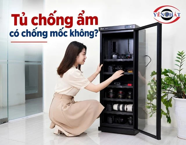Tủ chống ẩm có chống mốc không? Sự thật bạn không nên bỏ qua