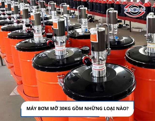 Máy bơm mỡ 30kg có mấy loại