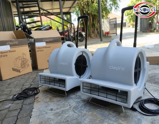Tăng tốc độ làm khô thảm và sàn sau vệ sinh