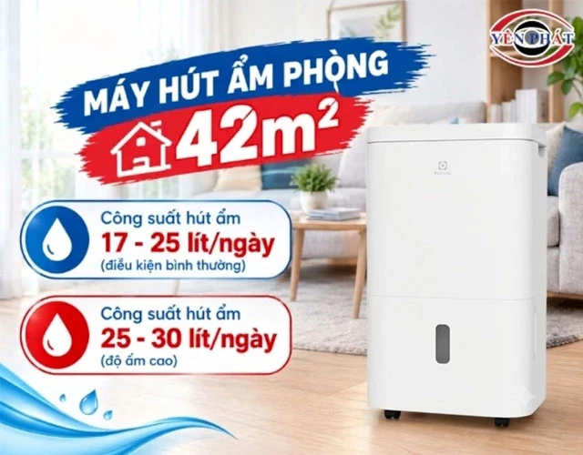 Máy hút ẩm 42m2: Top 6 model hiệu quả cao cho mùa nồm