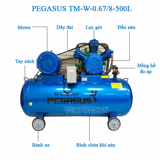 Cấu tạo của máy nén khí Pegasus TM-W-0.67/8-500L