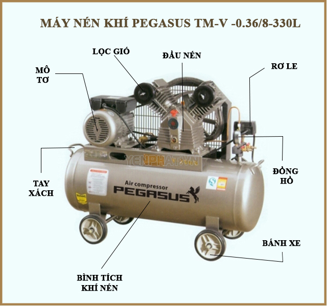 Cấu tạo máy nén không khí pegasus TM-V -0.36/8-330L