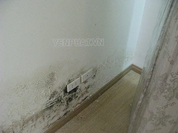 cách lau tường nhà bị bẩn