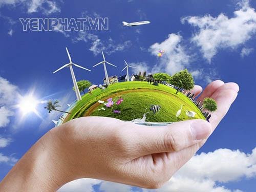 Tại sao phải bảo vệ môi trường sống của chúng ta?