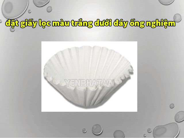 Sử dụng giấy lọc để ở dưới đáy ống nghiệm