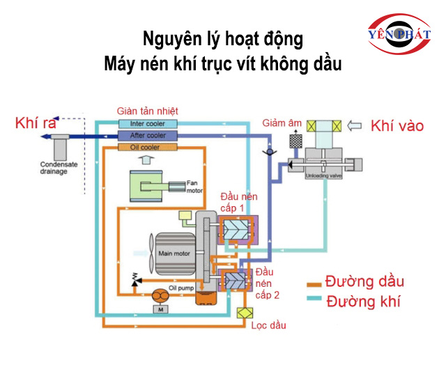 Nguyên lý hoạt động máy nén khí trục vít không dầu 