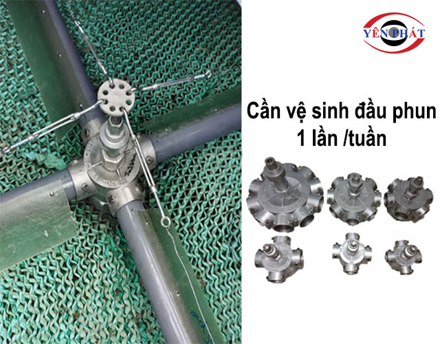 cần vệ sinh đầu phun 1 lần/tuần