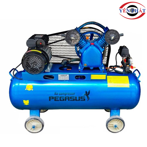 Máy nén khí Pegasus TM-V-0.25/8-70L