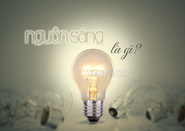 Nguồn sáng là gì? Vai trò của nguồn sáng trong nhiếp ảnh